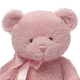 Gund My First Teddy Bear Stuffed Animal, 24 inch